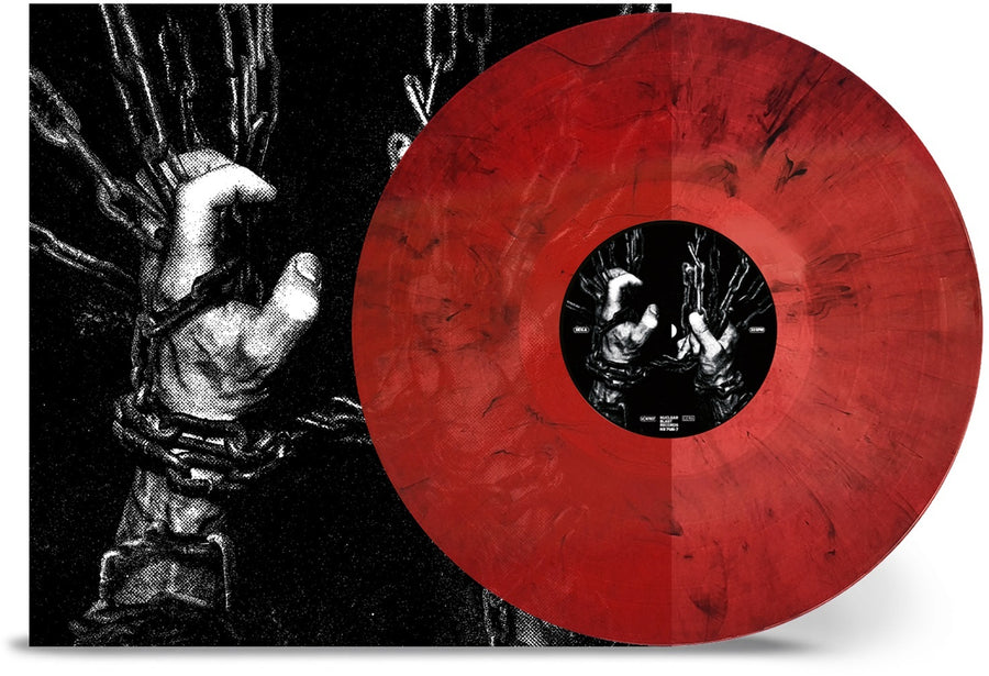 Within the Viscera