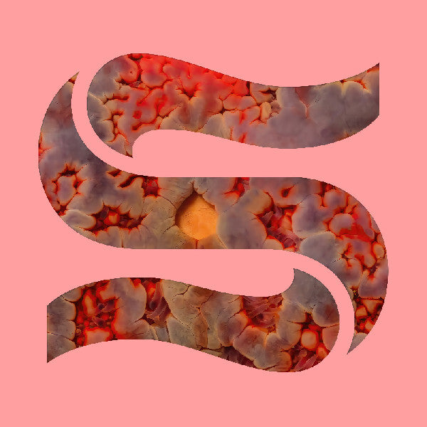 Neptunes