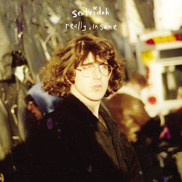 Really Insane : A Lou Barlow Compendium