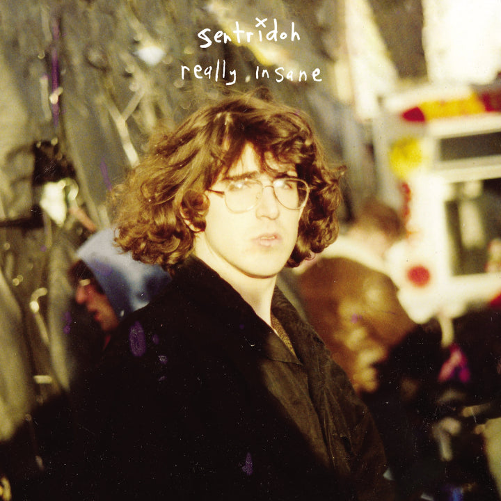 Really Insane : A Lou Barlow Compendium
