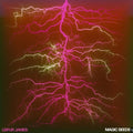 Magic Seeds