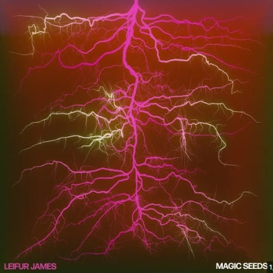 Magic Seeds