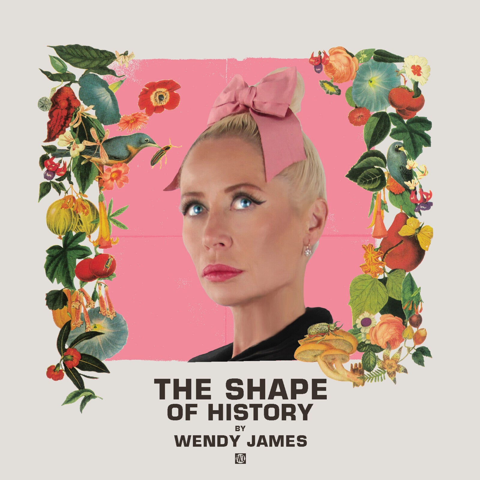 Shape Of History