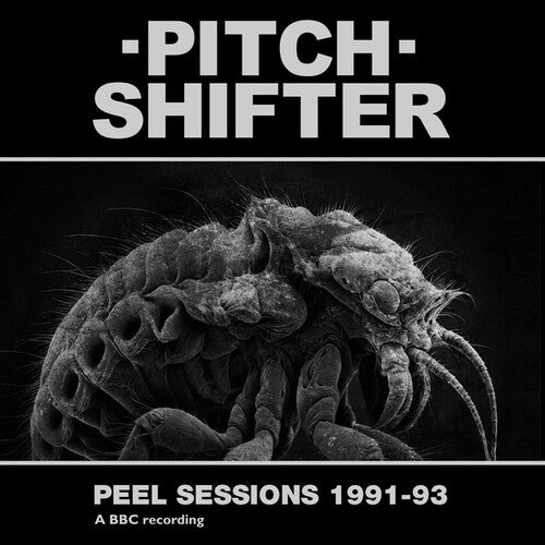PEEL SESSIONS 1991-93