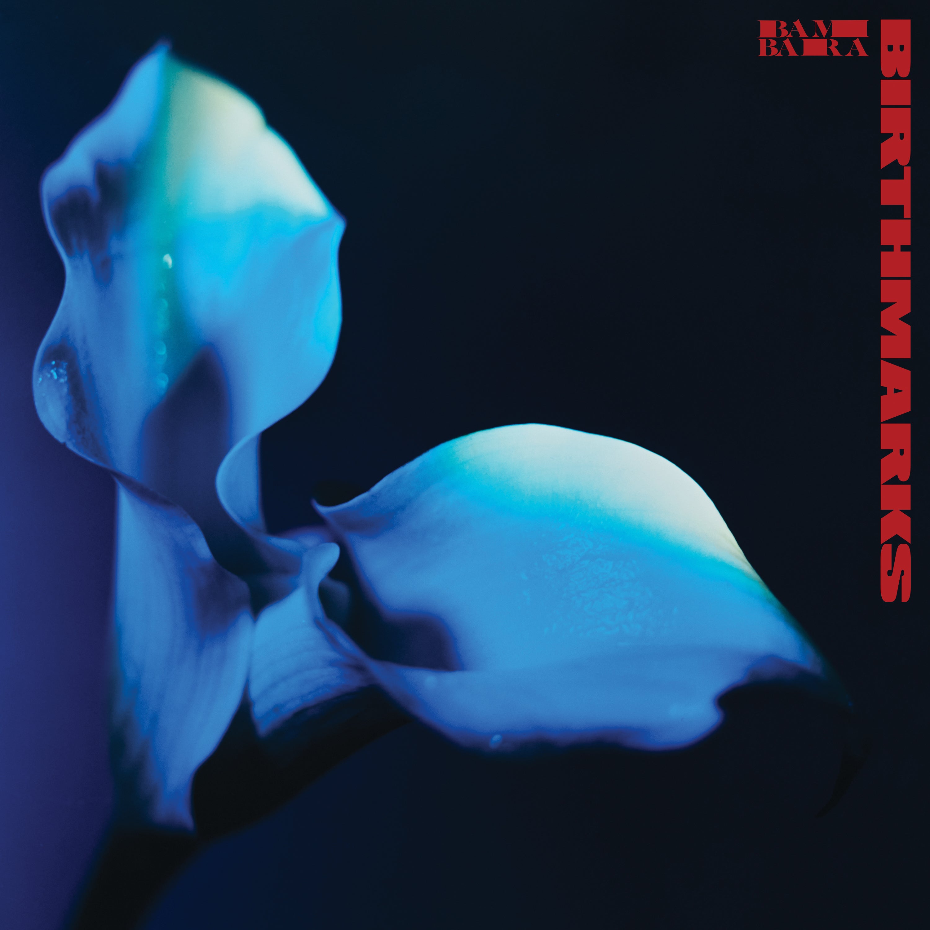 Birthmarks - Blue