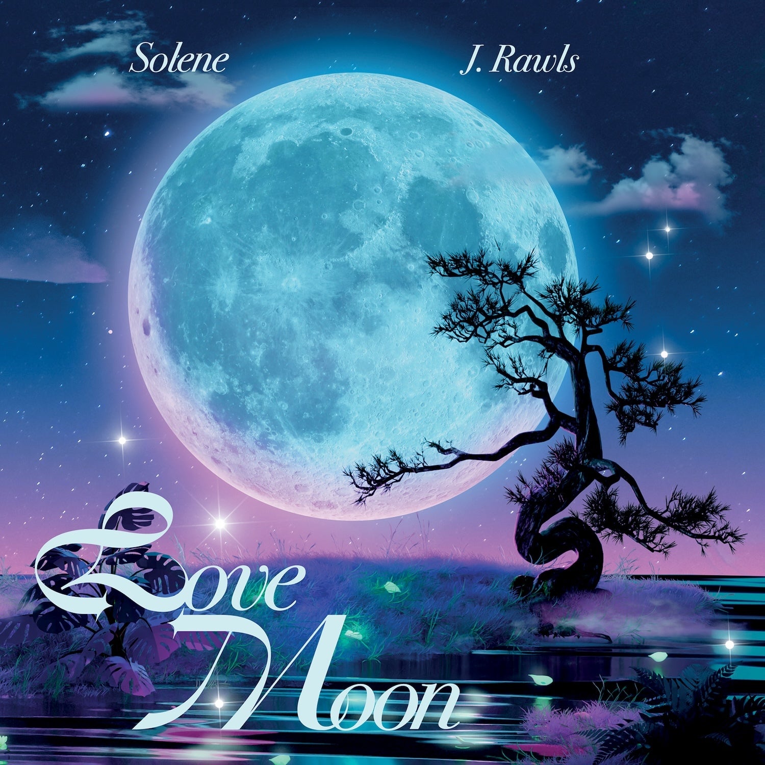 Love Moon B/w Can't Catch Me In Love - Hot Pink