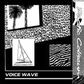 Voice Wave