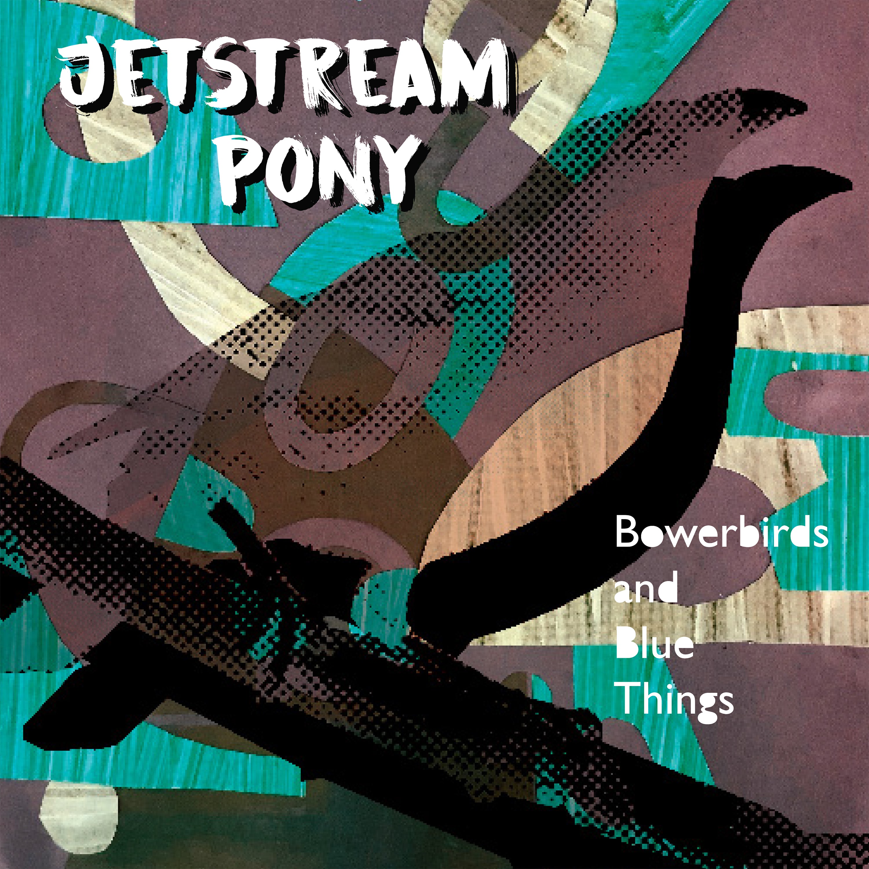 Bowerbirds And Blue Things
