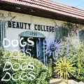 Dogs - Yellow