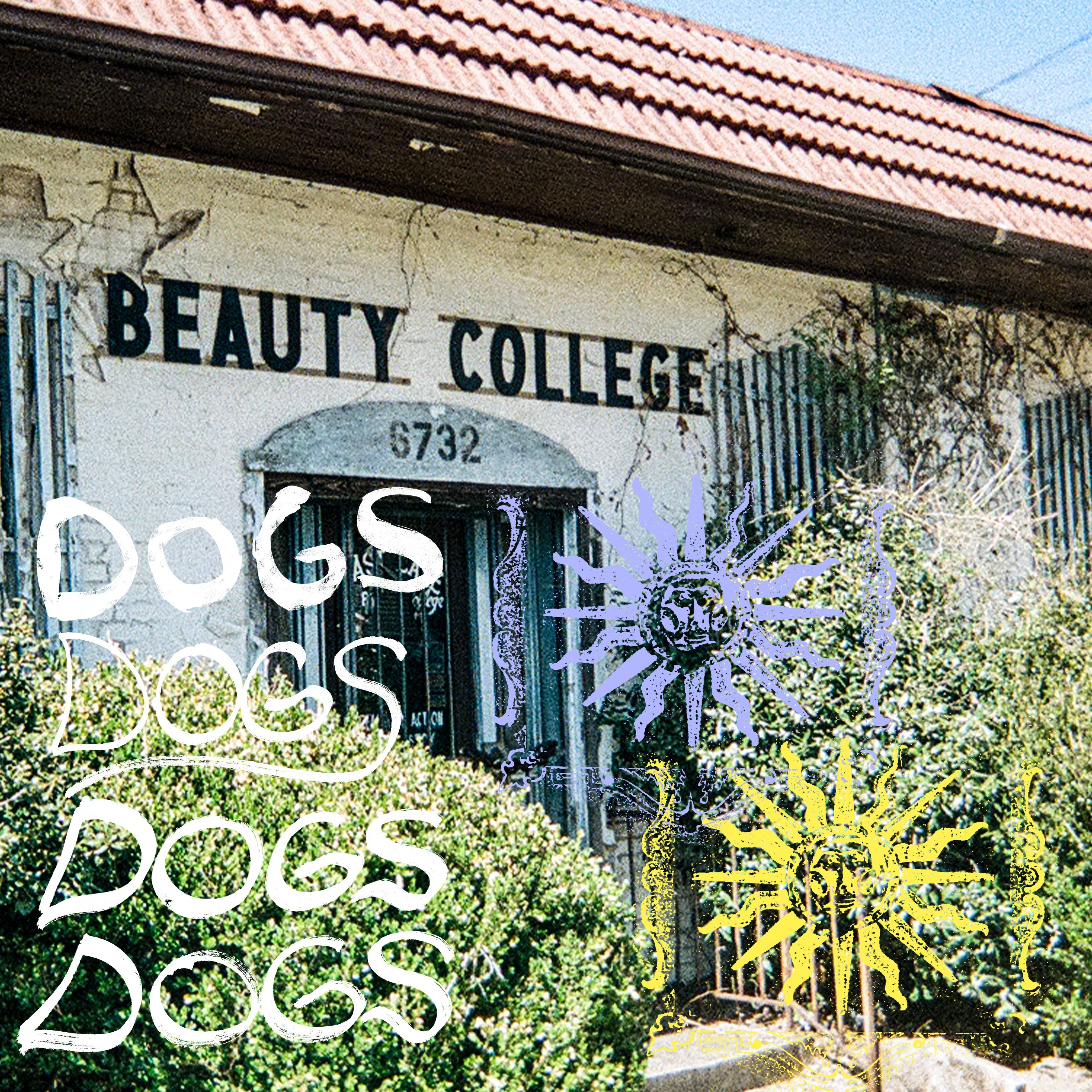 Dogs - Yellow