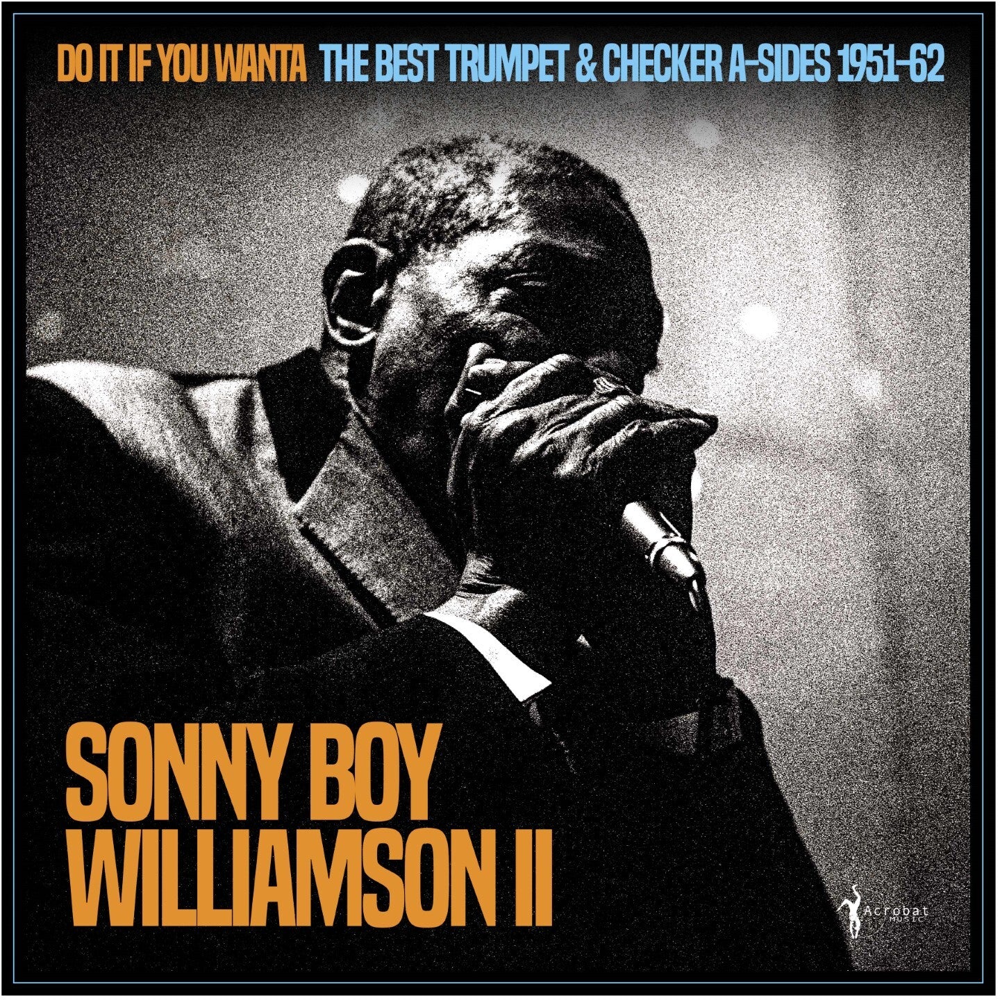 Do It If You Wanta: The Best Trumpet & Checker A-sides 1951-62