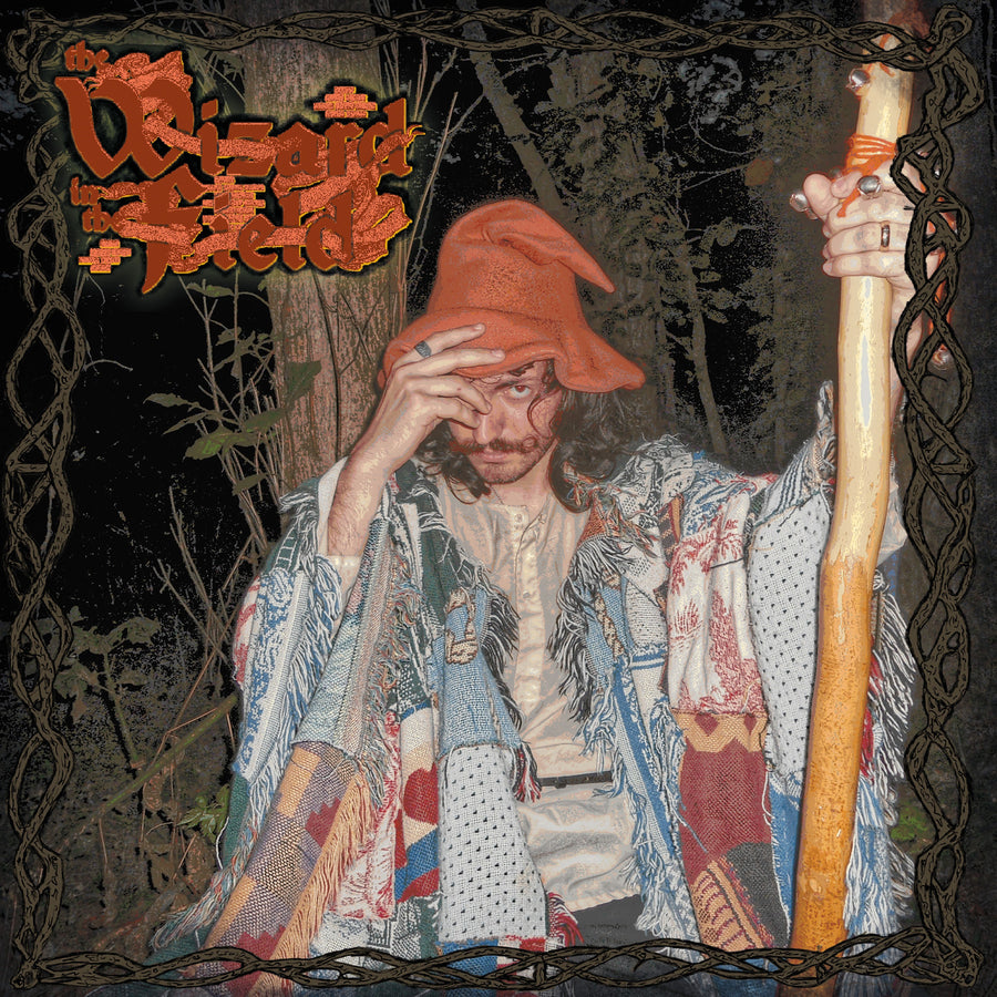 The Wizard In The Field