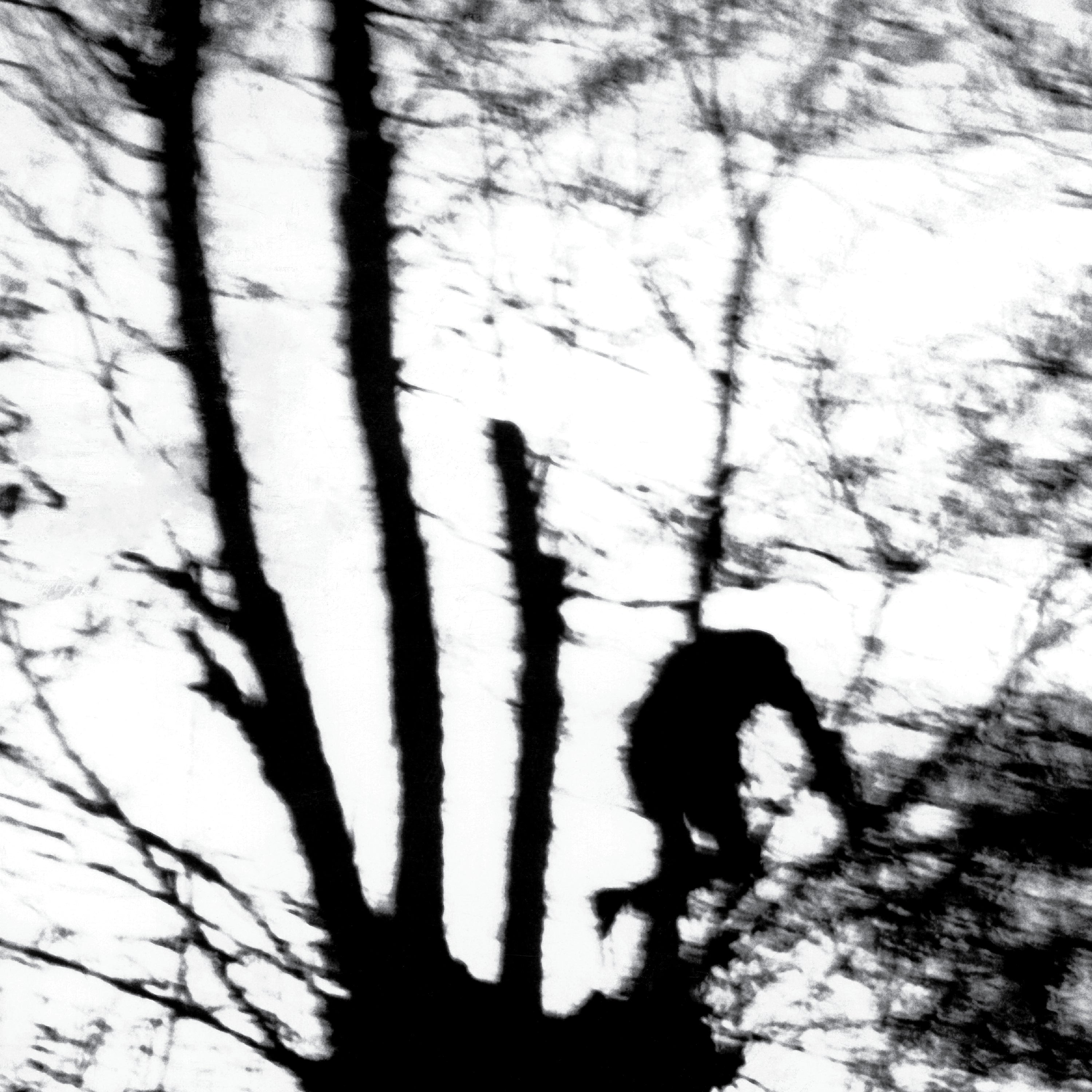 Camouflage Heart