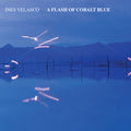 A Flash of Cobalt Blue