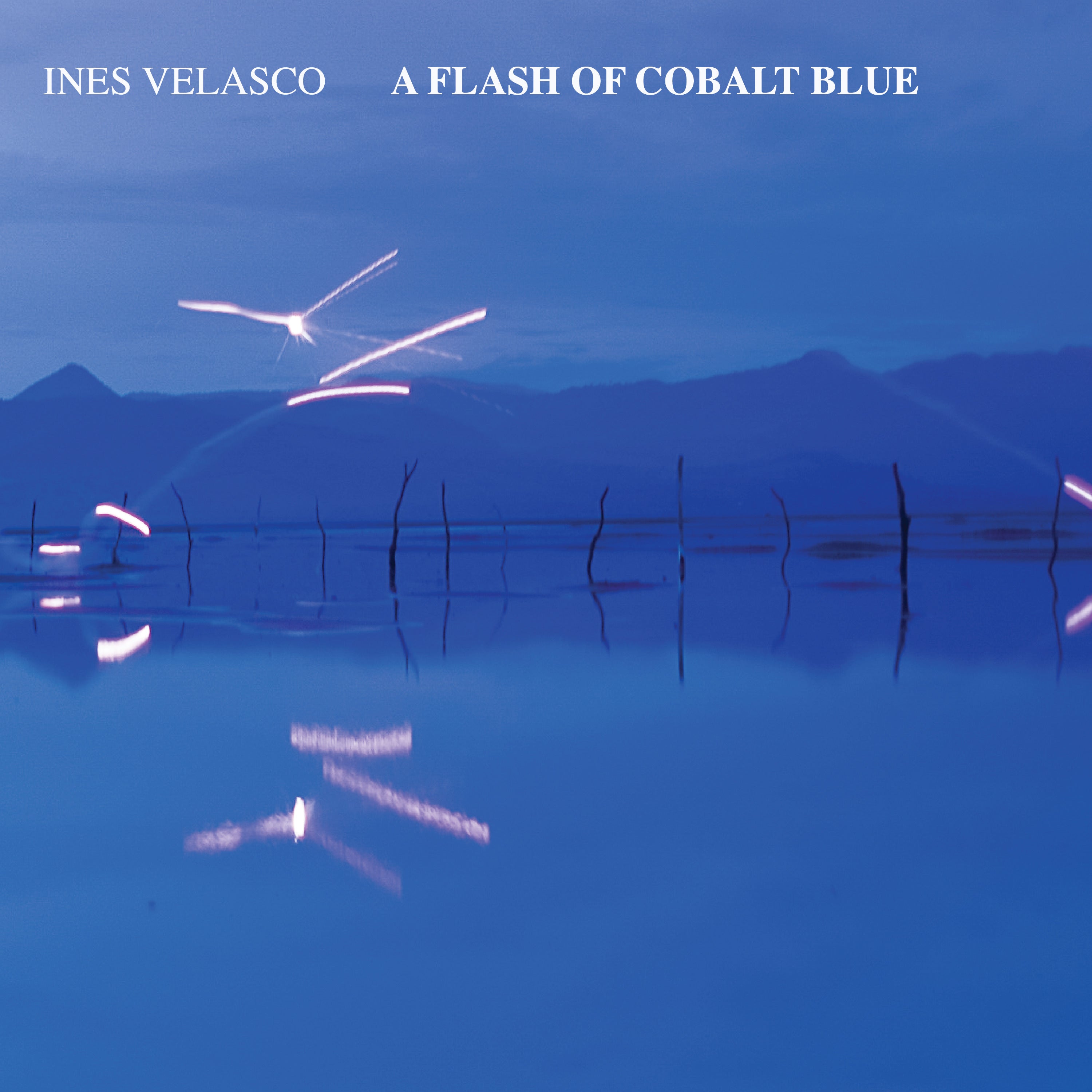 A Flash of Cobalt Blue