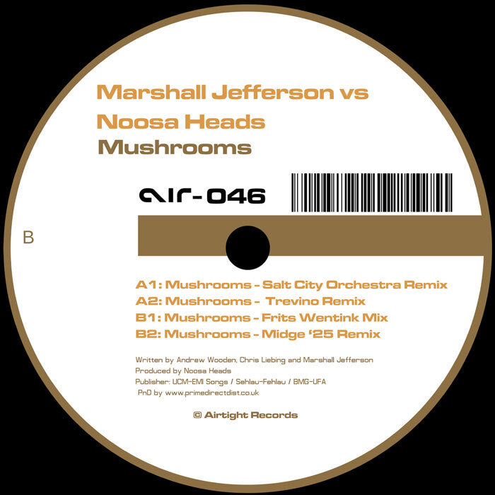 Mushrooms (2025 Remixes)