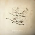 Near The Pond: Wild Geese