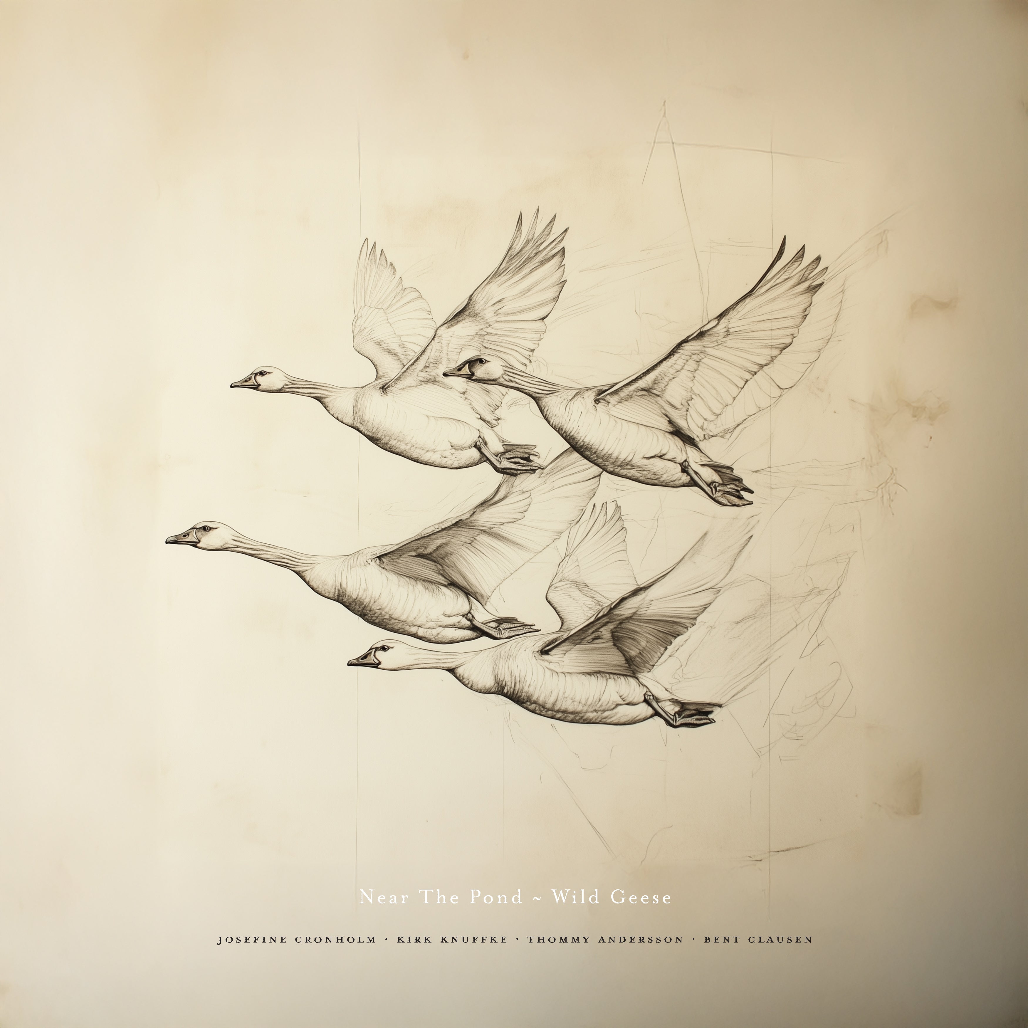 Near The Pond: Wild Geese