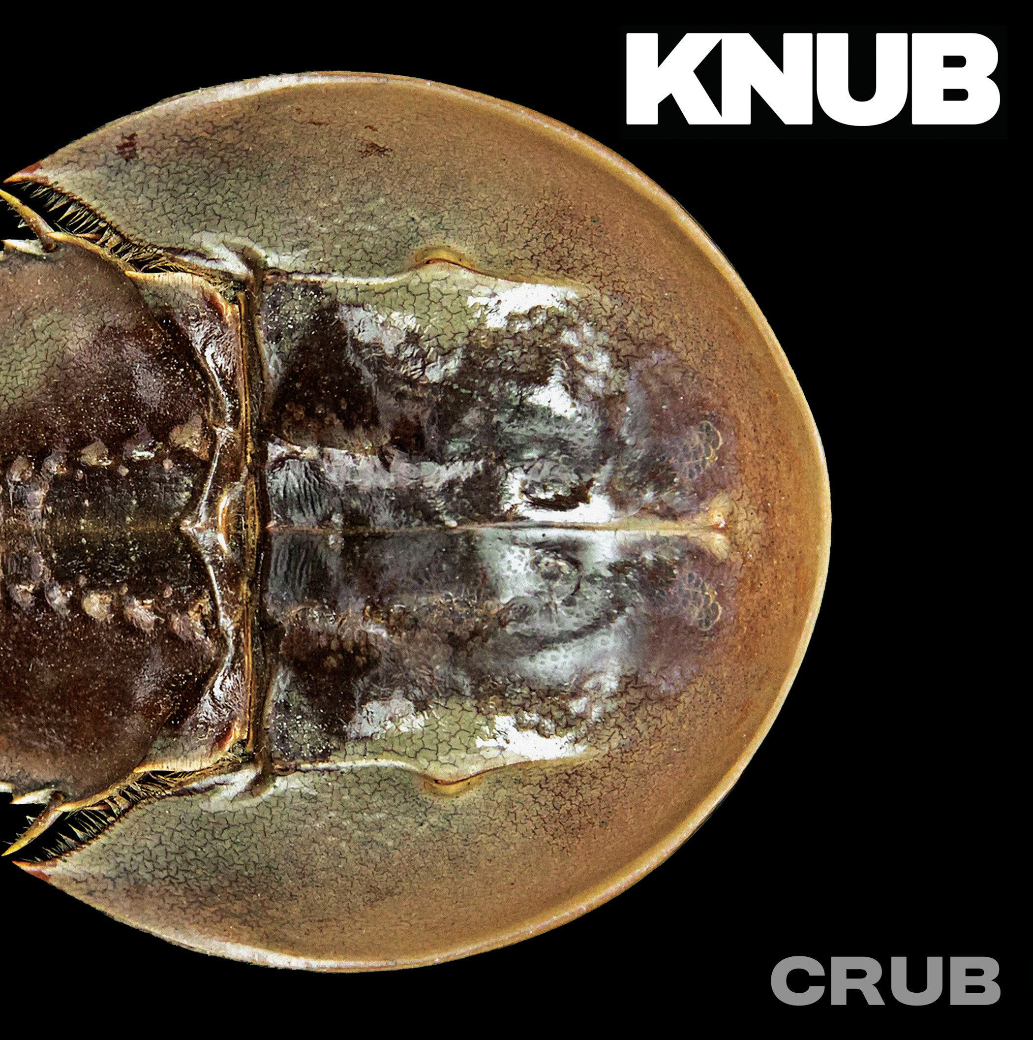 Crub