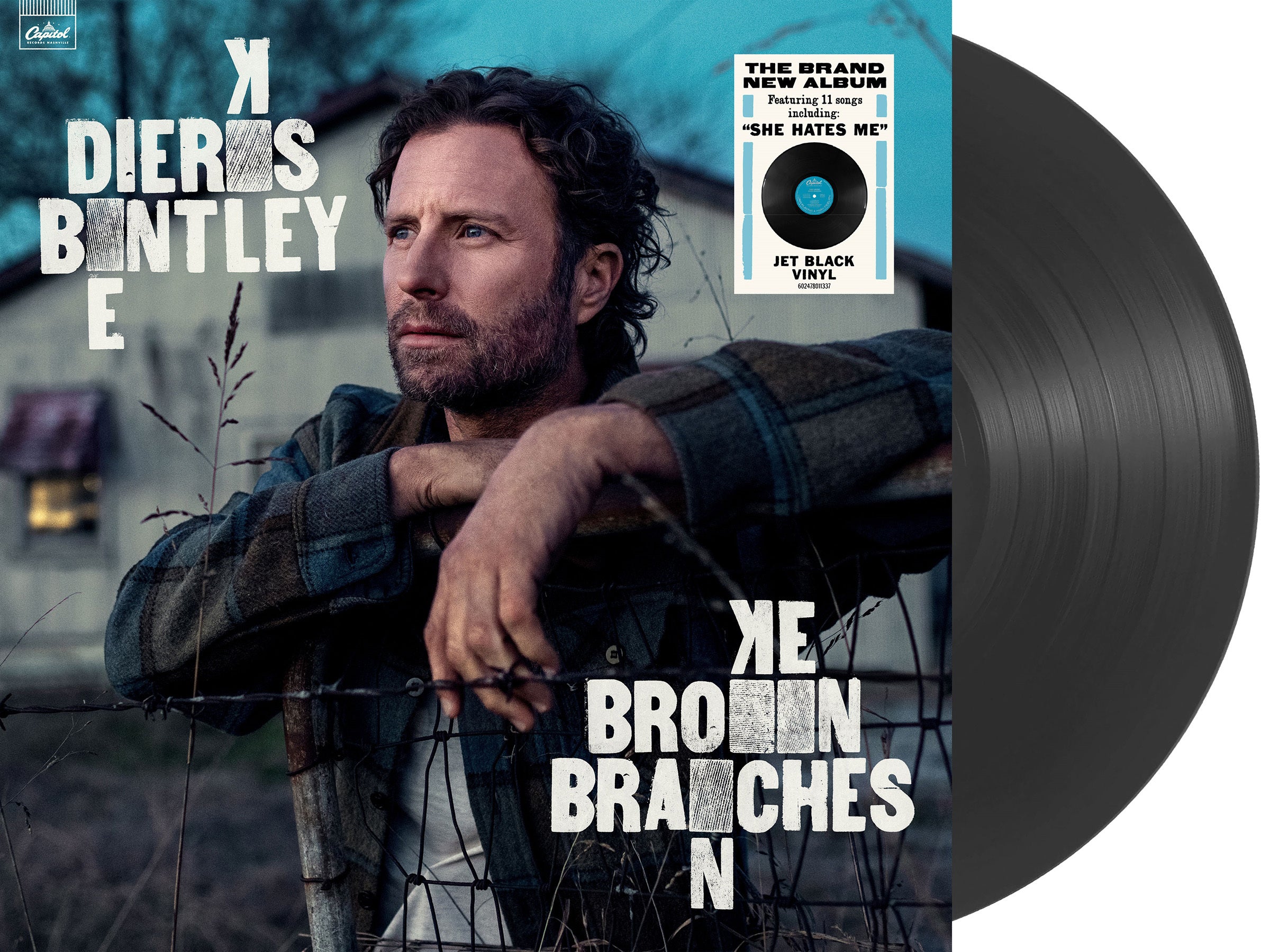 Broken Branches