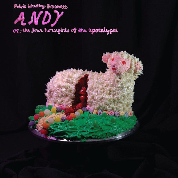 Andy, Or: The Four Horsegirls Of The Apocalypse