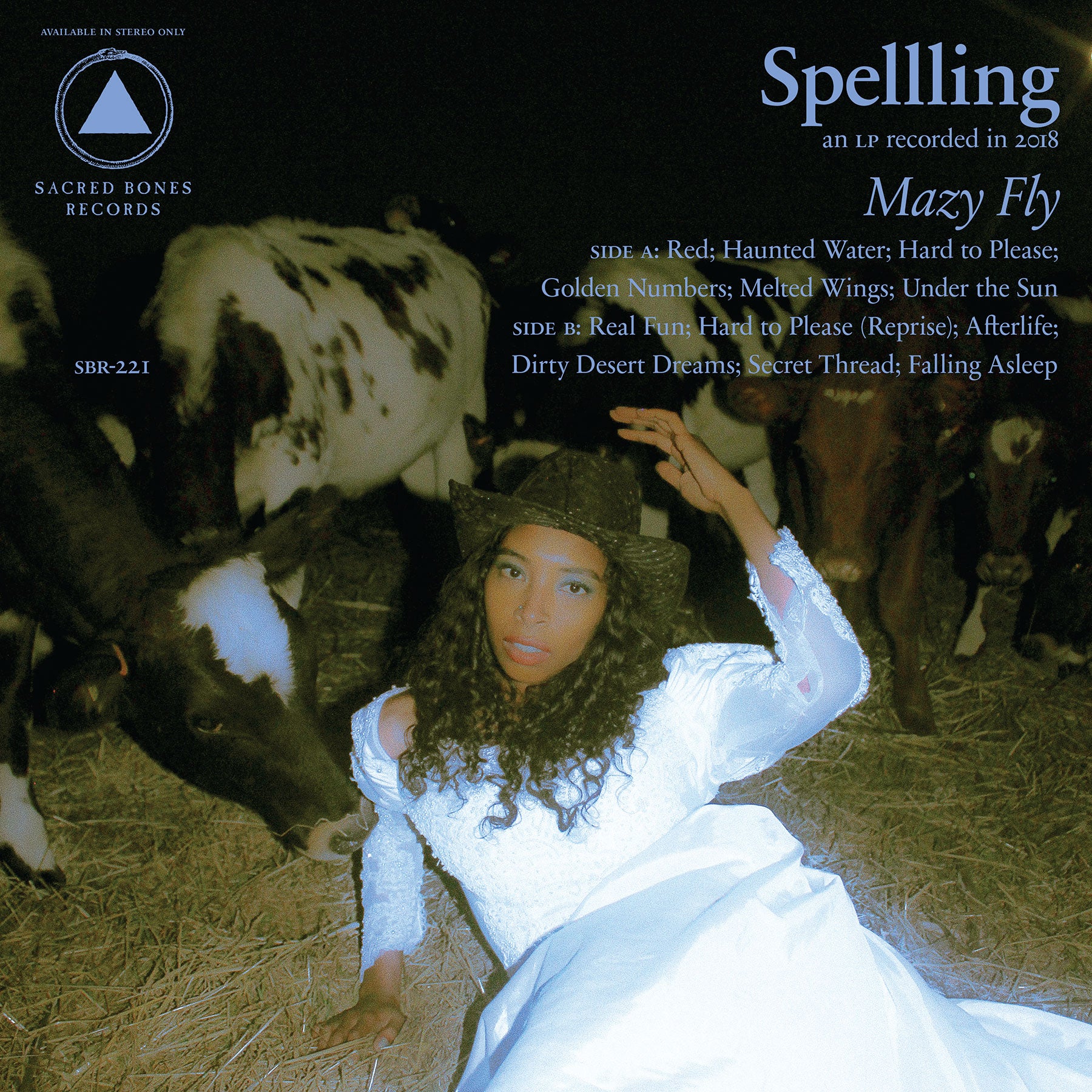Mazy Fly - Blue