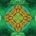 Celtic Vedic