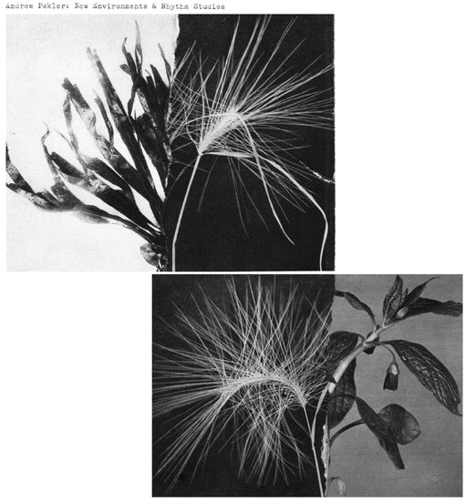 New Environments And Rhythm Studies