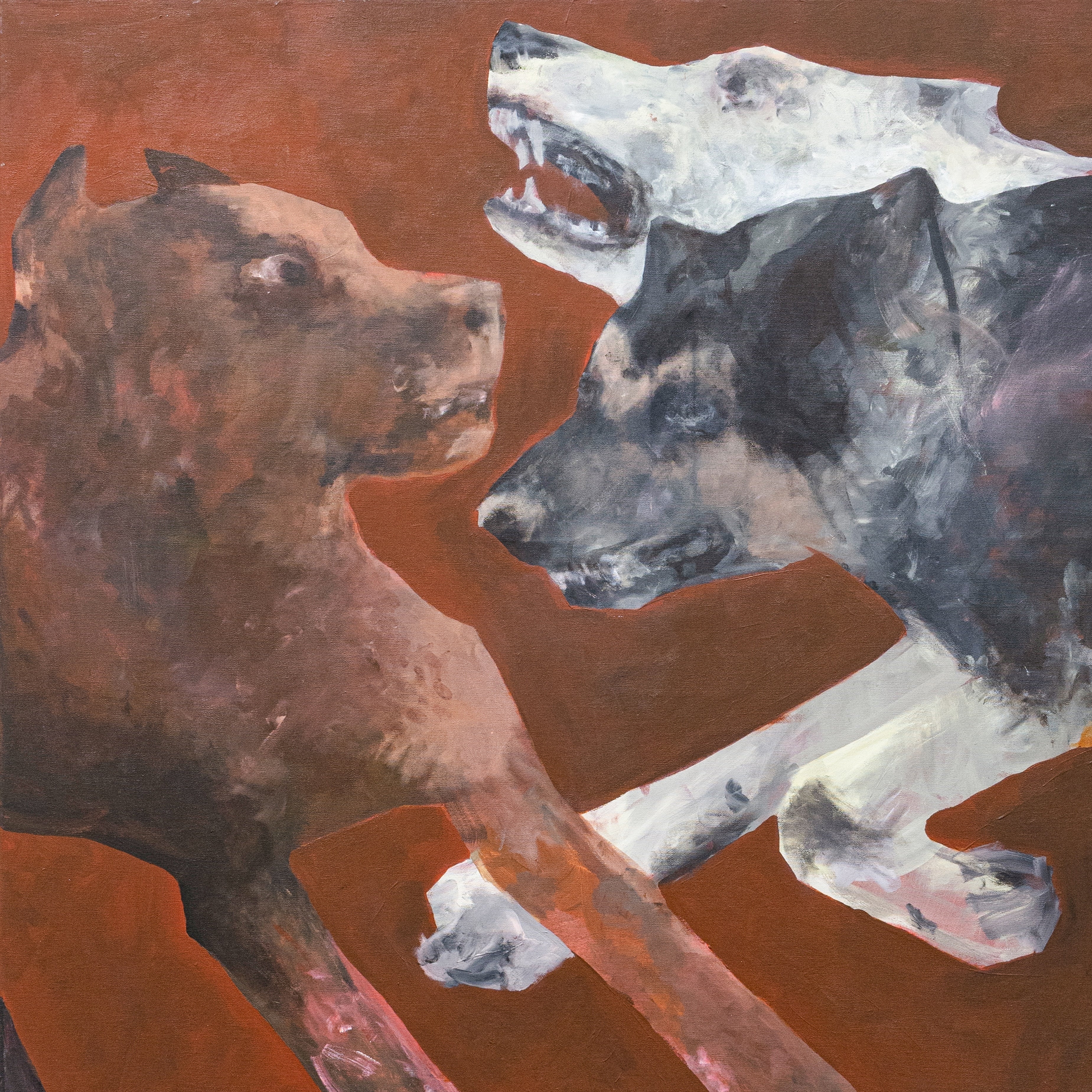 Bad Dogs - Brown