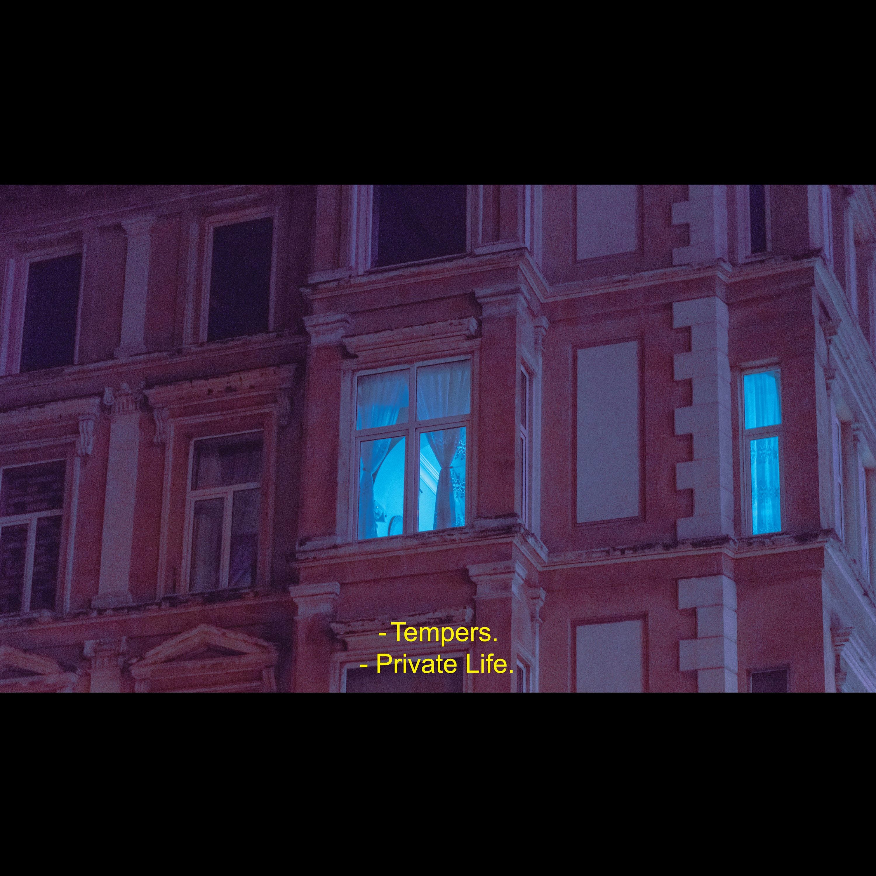 Private Life - Clear Purple
