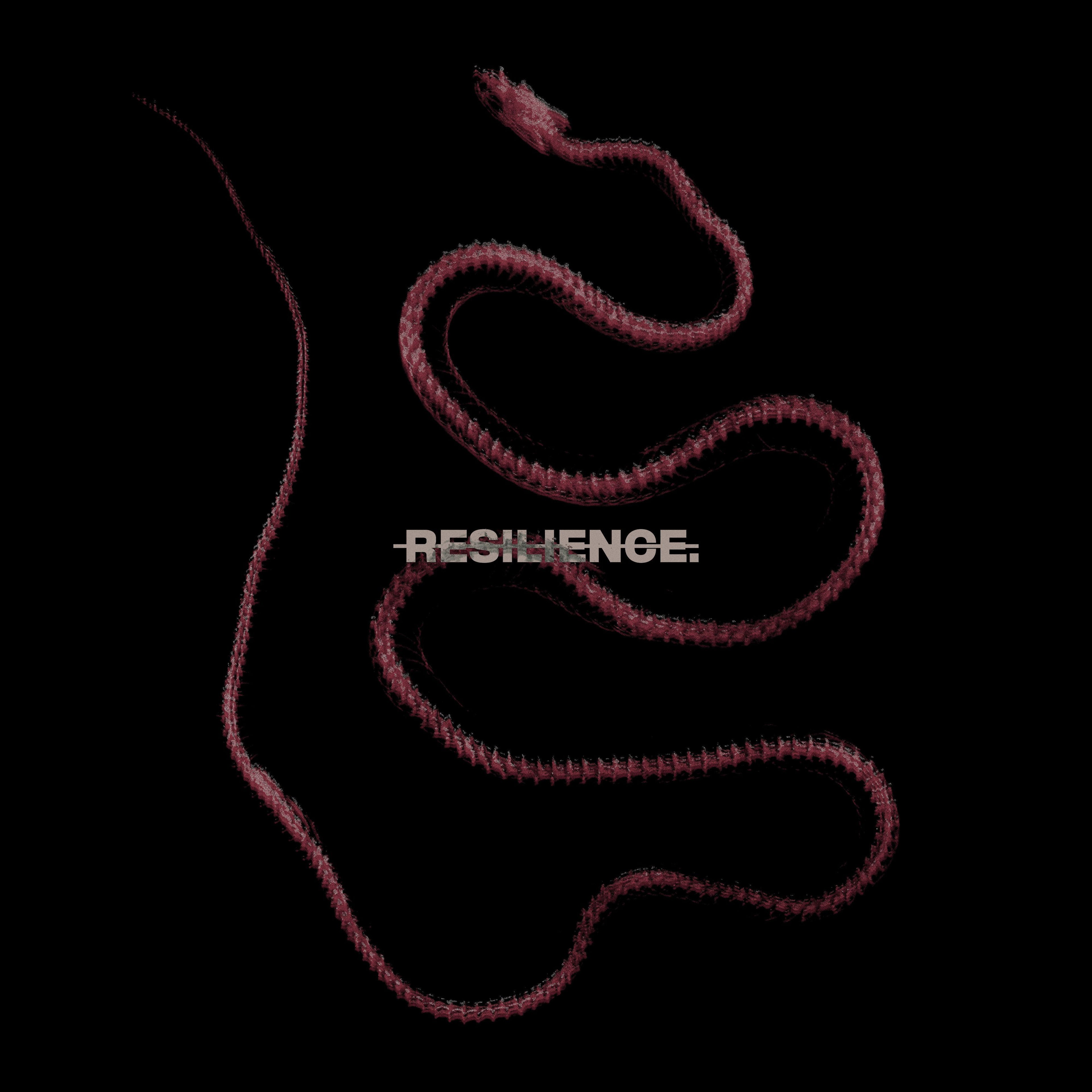 Resilience.