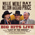 Big Hits Live From The Last Of The Breed Tour