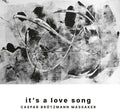It's A Love Song