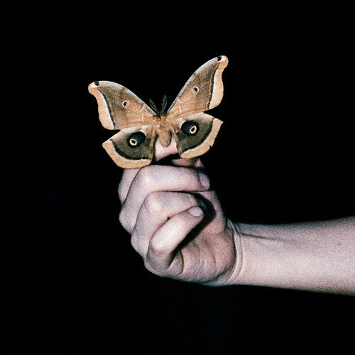 ALL SYSTEMS ARE LYING