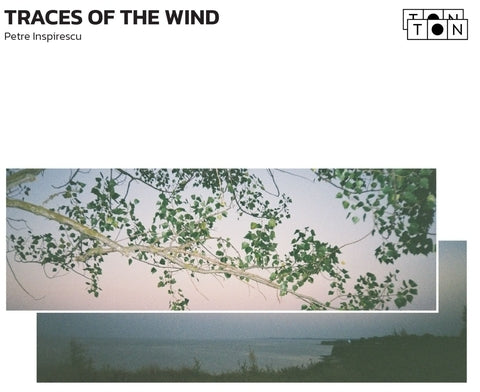 Traces Of The Wind