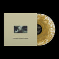 Everybody Is Going to Heaven - 10 Year Anniversary Edition