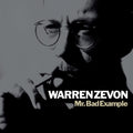 Mr. Bad Example