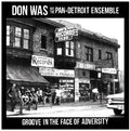 Groove In The Face Of Adversity