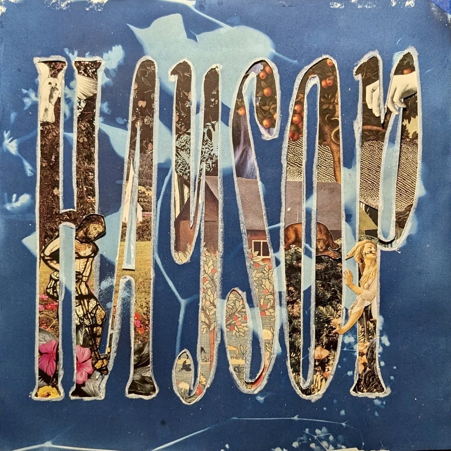 Haysop