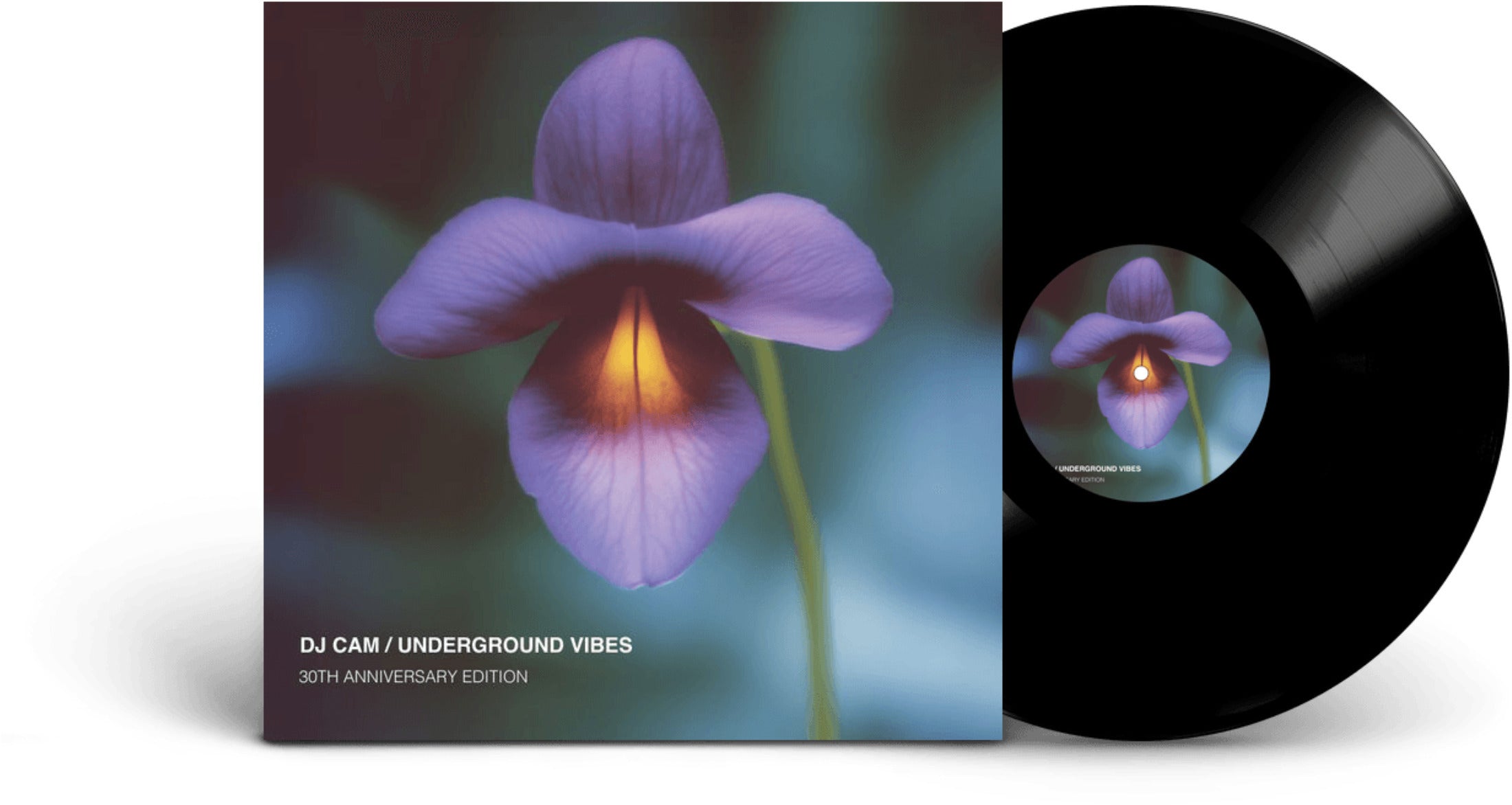 Underground Vibes (30th Anniversary)