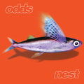 Nest