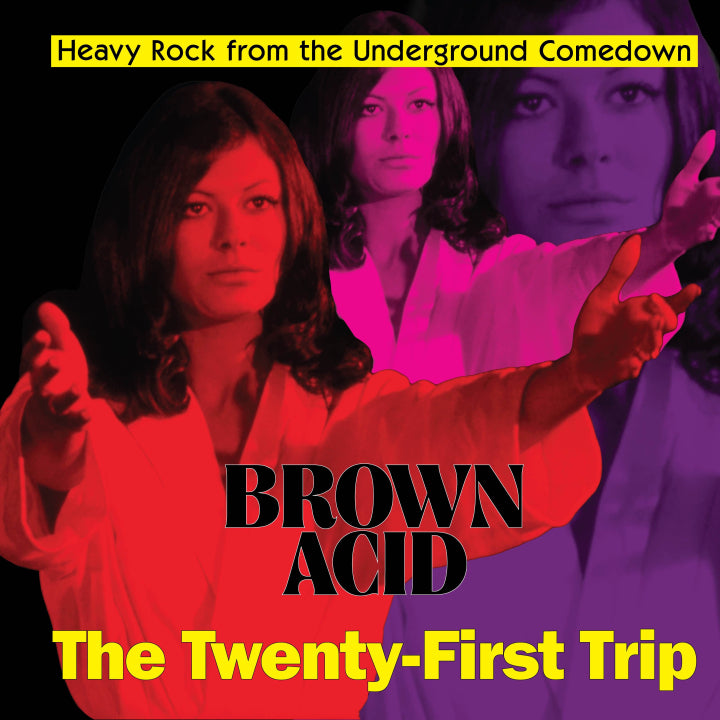 Brown Acid - The Twenty-first Trip (Various Artists)