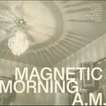 A.M.