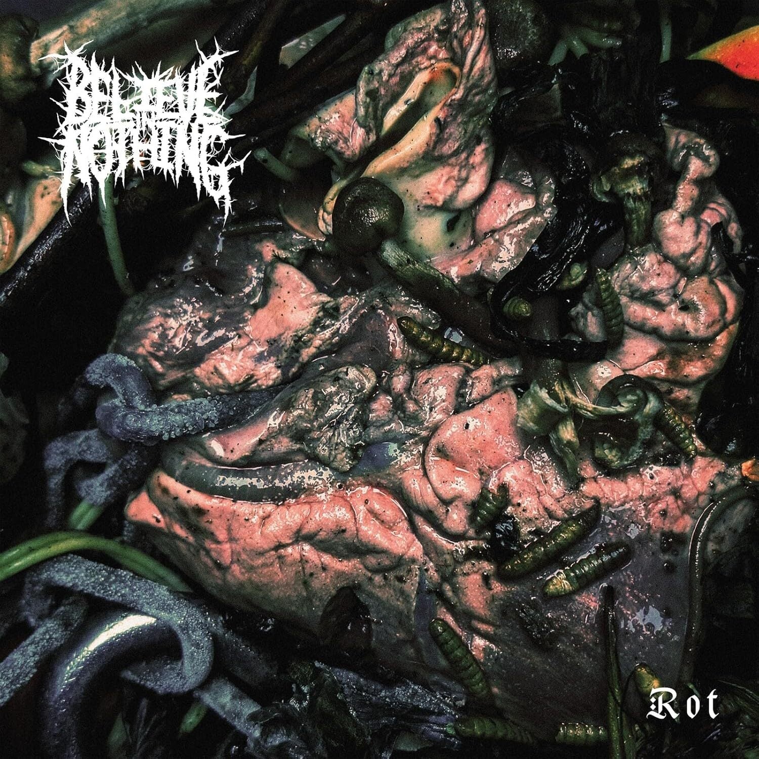 Rot