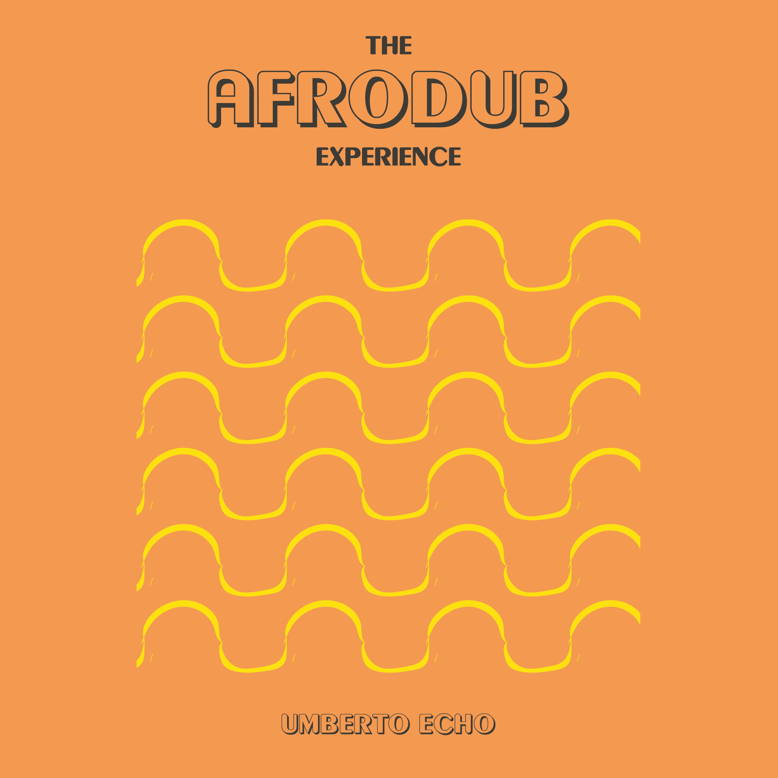The Afrodub Experience