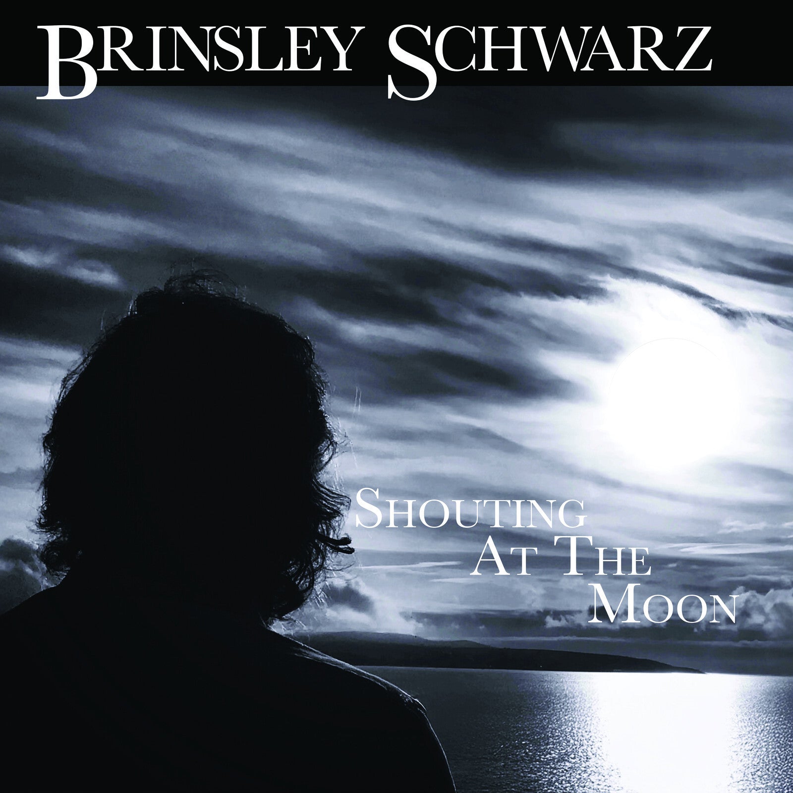 Shouting At The Moon