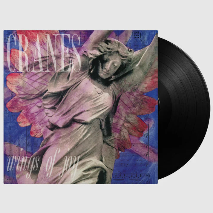 Wings Of Joy - 180-Gram Black Vinyl
