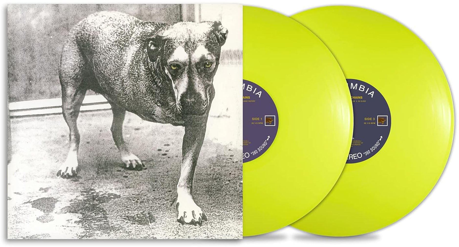 Alice In Chains