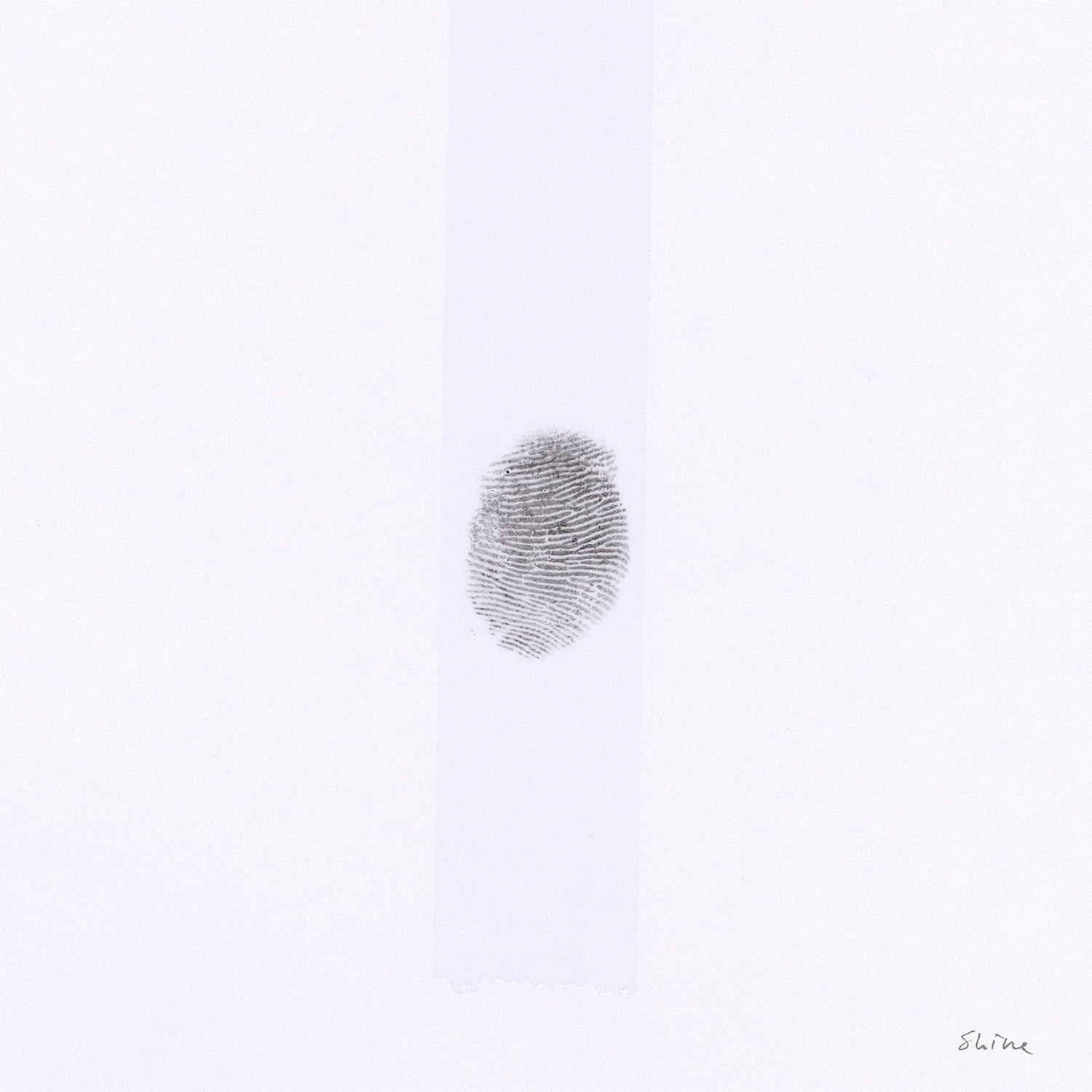 S H I N E - White