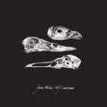 Last Three Human Words (Demo) / Just Be Simple